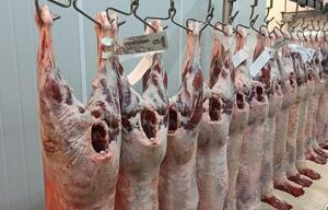 Uruguay: precio promedio de exportación de carne ovina aumentó 44%