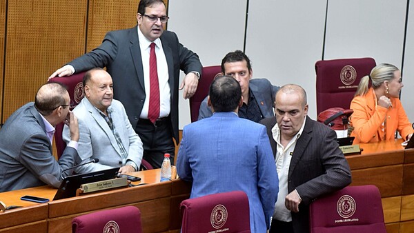 Fracasa conformación de bicameral del Parlamento sobre el Anexo C