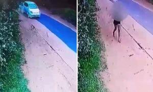 Itá: Intentan raptar a adolescente que era seguida desde un vehículo – Prensa 5