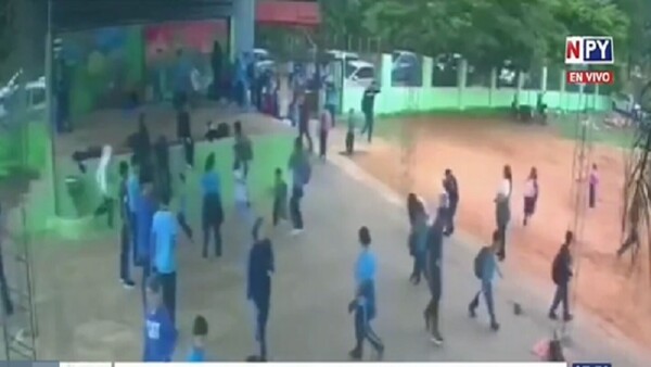 Luque: Estudiantes de escuela fueron atacados por un enjambre de abejas