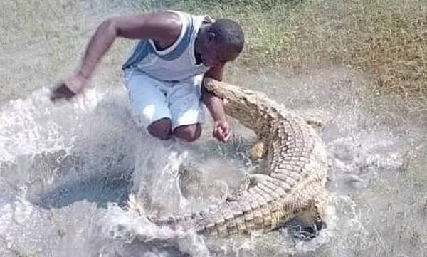 Quiso “jugar” con un cocodrilo y… Captan el momento justo en que se produce un terrorífico ataque