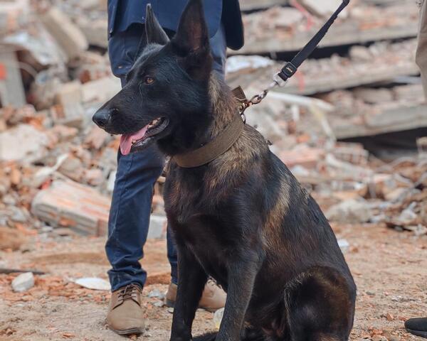 Perruna heroína: Maya es nuestro orgullo Encarnaceno