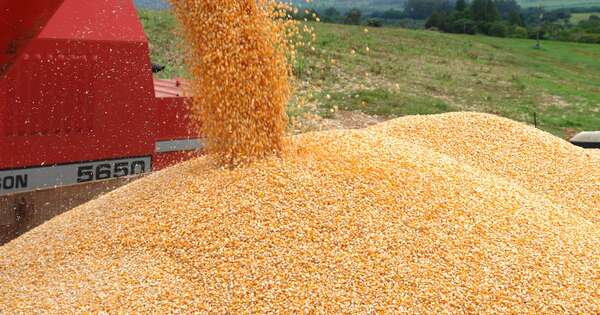 La Nación / Paraguay está ganando terreno en la producción de alimentos, afirman