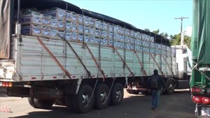 Senave habilita ingreso de productos frutihortícolas por el puente San Roque