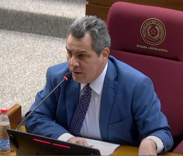 Kronawetter cuestiona fallo judicial que impide el acceso de la familia Pecci al expediente - PDS RADIO Y TV