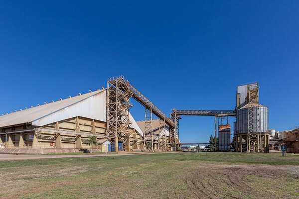 Molienda cae en casi 10% y refleja estancamiento en la industrialización de granos, alertan aceiteras - Economía - ABC Color