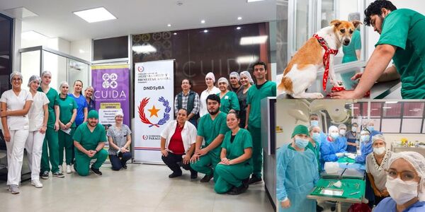 JORNADAS DE CASTRACIÓN Y VACUNACIÓN GRATUITA EN ENCARNACIÓN