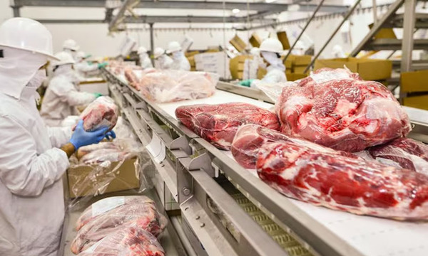 Exportadores de carne perderán USD 2 millones al mes por aranceles de Trump - OviedoPress