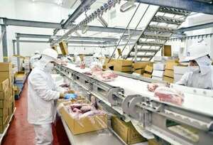 Exportación de carne registró un alza de casi 46% en marzo - Económico - ABC Color