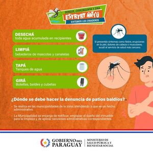 Instan a insistir con la eliminación de criaderos ante aumentos de casos de dengue - 1000 Noticias