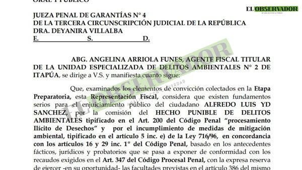 Acusan y solicitan juicio para el intendente de Encarnación por delito ambiental