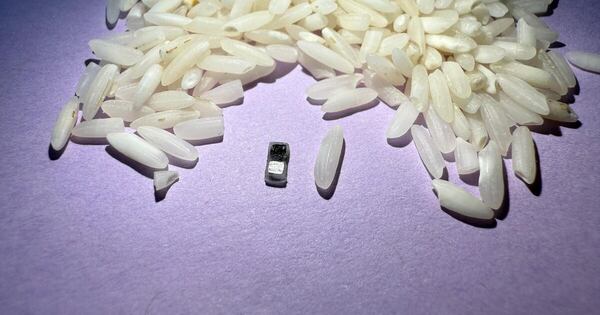 La Nación / Crean un marcapasos más pequeño que un grano de arroz