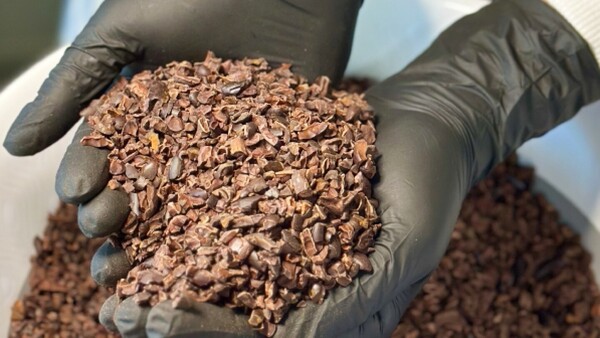 Elaboran chocolate de manera artesanal por primera vez en Guairá