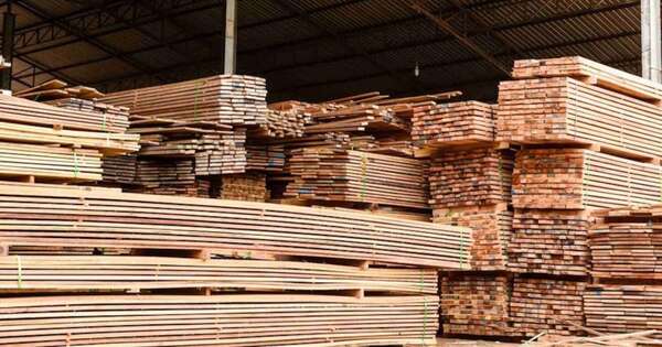 La Nación / Sector maderero observa ventajas de exportación a Estados Unidos ante aranceles