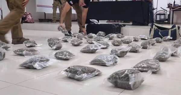 La Nación / Detienen a cuatro hombres que transportaban marihuana skunk desde PJC