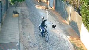 Motoca derramó agua caliente al perro que le ladró
