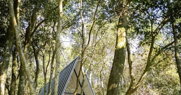 La Nación / Semana Santa: Parque Ecológico Salto Suizo ofrece desconexión y aventura