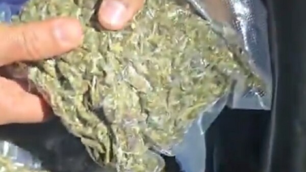 Senad captura a cuatro personas con marihuana de alta pureza en zona del Parque Guasu