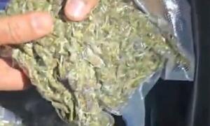 Senad captura a cuatro personas con marihuana de alta pureza en zona del Parque Guasu – Prensa 5