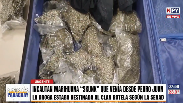 Caen 4 personas con marihuana “Skunk” de alta pureza en zona del Parque Guasu