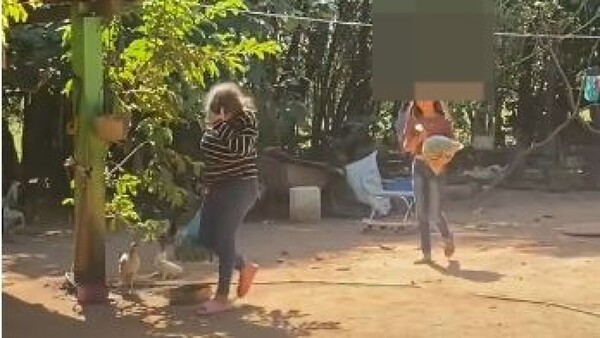 Una divertida música a los tuku karu es viral en las redes sociales