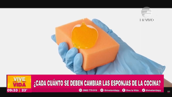 Hay que cambiar las esponjas de cocina cada semana