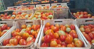 Productores de Caaguazú recaudaron más de G. 400 millones con el fruto de sus cosechas