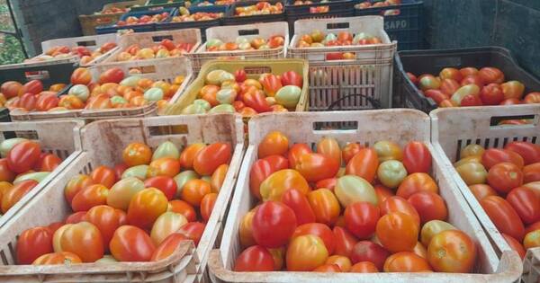 Productores de Caaguazú recaudaron más de G. 400 millones con el fruto de sus cosechas