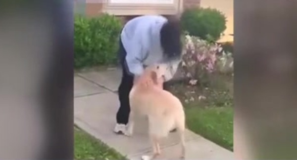 Sunita Williams se reencuentra con sus perros tras quedar varada en el espacio - SNT