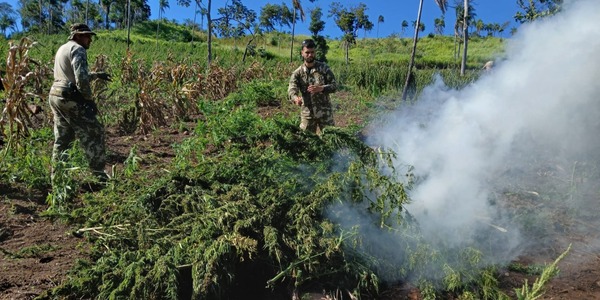 Paraguay y Brasil unen fuerzas contra el narcotráfico fronterizo • PARAGUAY TV