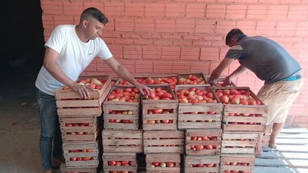AUDIO. Subirá el precio del Tomate - Periodísticamente - ABC Color