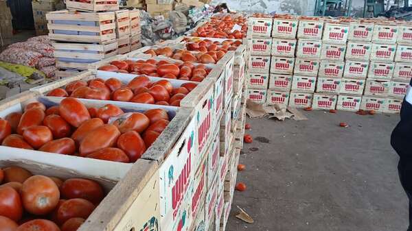 Inestabilidad del precio del tomate: este es el motivo - Economía - ABC Color