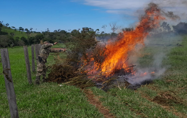 Brasil y Paraguay retoman programa «Alianza 49», de lucha contra las drogas