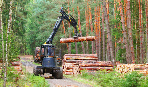 Sellan importante alianza interinstitucional que fortalecerá el sector forestal nacional | Agronegocios | 5Días