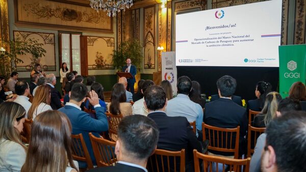 Paraguay acelera implementación de su mercado de carbono para atraer inversiones