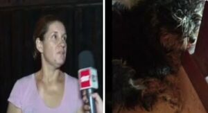Conductor de plataforma se llevó a una perrita ajena - SNT