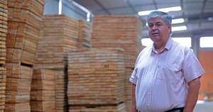 La Nación / Industria maderera: claves para adentrarse a un rubro que apunta a ser un pilar económico