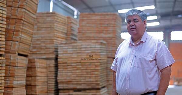 La Nación / Industria maderera: claves para adentrarse a un rubro que apunta a ser un pilar económico