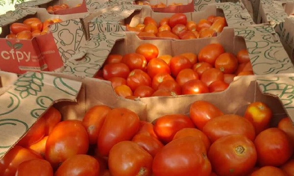 Leve baja en el precio del tomate en el Mercado de Abasto - OviedoPress