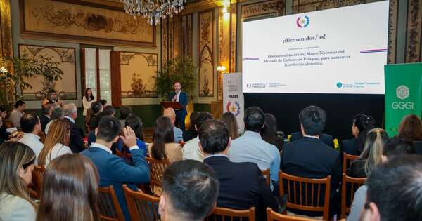 La Nación / Buscan acelerar la implementación del mercado de carbono en Paraguay para atraer inversiones