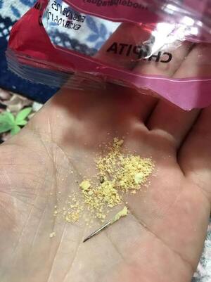 Encuentran aguja dentro de "chipita" que un niño recibió en su escuela - 1000 Noticias