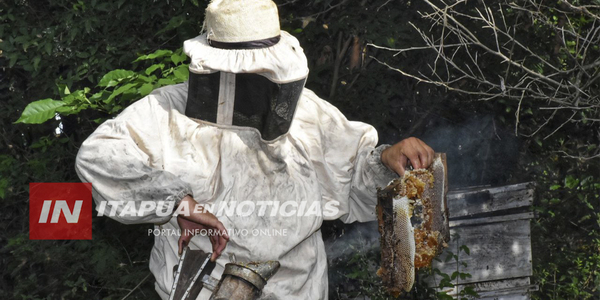 AVANZA LA SEGUNDA ETAPA DEL PROGRAMA DE APICULTURA EN ITAPÚA