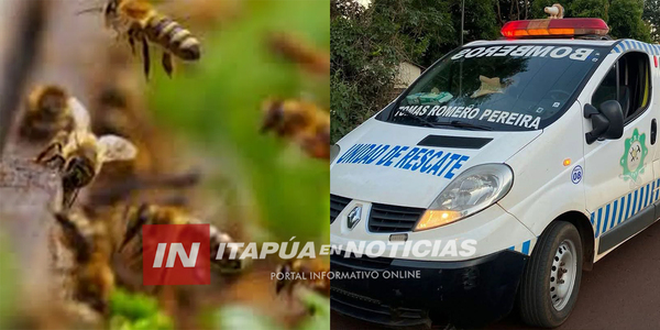 HOMBRE FUE HOSPITALIZADO TRAS SER ATACADO POR ABEJAS EN TOMÁS R. PEREIRA