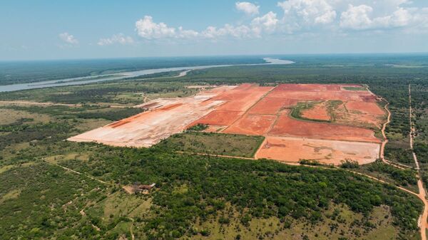 Paracel finaliza movimiento de suelo para f谩brica, abriendo camino a consolidar la industria celul贸sica nacional