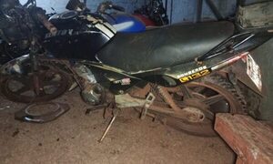 Incautan dos motocicletas en plantación de pasto: una denunciada como hurtada
