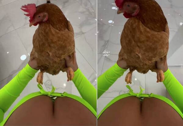 [VIDEO] ¿Con qué se mareó?: el corto que filmó Laurys con la plumífera más famosa de la farándula
