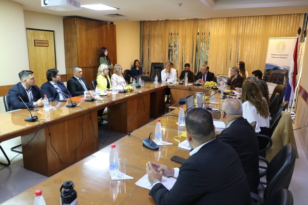 Senado escucha explicaciones de fiscales sobre red de extorsión con pagarés - ADN Digital