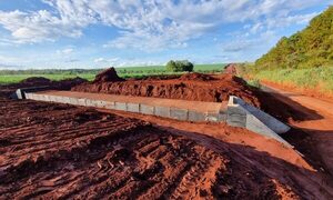 Pasos de fauna en la ruta a Puerto Indio: una apuesta por la biodiversidad