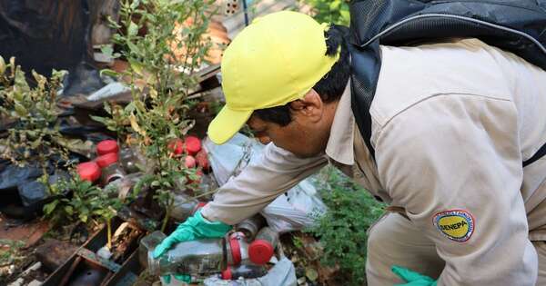 La Nación / Iniciaron campaña para eliminar criaderos de dengue y evitar contagios en Semana Santa