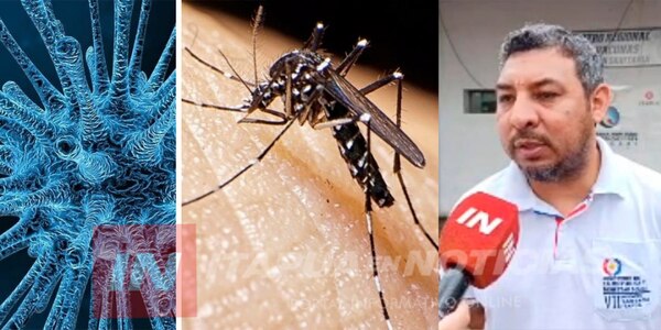 SEIS CASOS DE DENGUE Y DOS DE COVID CONFIRMADOS EN ITAPÚA